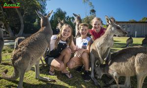 TOUR DU LỊCH ÚC KHÁM PHÁ SYDNEY - BRISBANE 6 NGÀY 5 ĐÊM