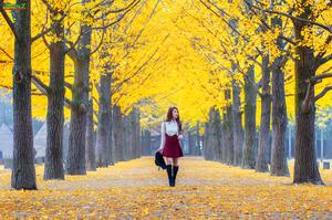 Tour du lịch HÀN QUỐC Mùa Thu - KHÁM PHÁ MÙA THU HÀN QUỐC SEOUL – ĐẢO NAMI – EVERLAND JEJU AIR
