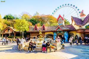 Tour du lịch HÀN QUỐC Mùa Thu - KHÁM PHÁ MÙA THU HÀN QUỐC SEOUL – ĐẢO NAMI – EVERLAND JEJU AIR
