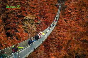 TOUR DU LỊCH KHÁM PHÁ MÙA THU LÁ ĐỎ TẠI BỜ TÂY CANADA 7 NGÀY 6 ĐÊM