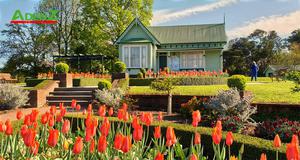 ĐÓN TẾT GIÁP THÌN 2024 TẠI NEW ZEALAND AUCKLAND – WAITOMO – ROTORUA – HOBITTON