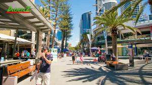 ĐÓN TẾT GIÁP THÌN 2024 TẠI BANG QUEENSLAND NƯỚC ÚC