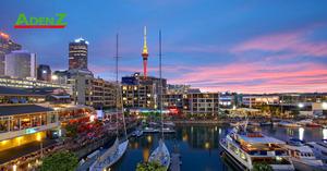 ĐÓN TẾT GIÁP THÌN 2024 TẠI NEW ZEALAND AUCKLAND – WAITOMO – ROTORUA – HOBITTON