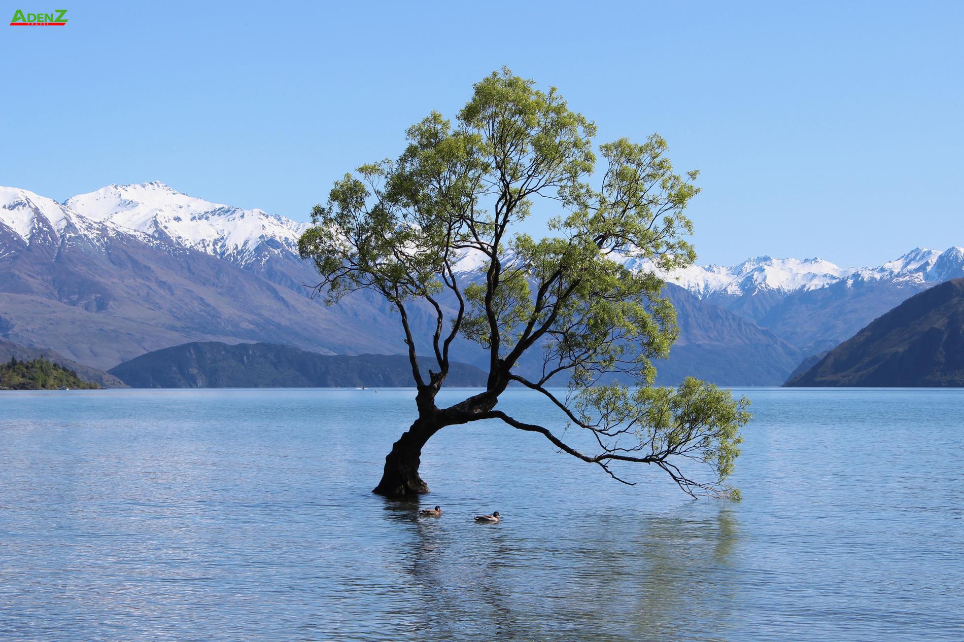 Mê mẩn 8 hồ nước tuyệt đẹp tại New Zealand 