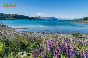 Mê mẩn 8 hồ nước tuyệt đẹp tại New Zealand