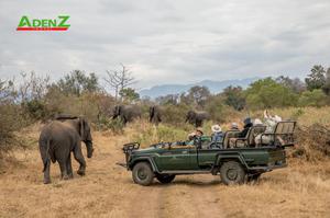 KHÁM PHÁ SAFARI HOANG DÃ TẠI VƯỜN QUỐC GIA KRUGER