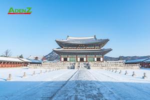 ĐÓN NĂM MỚI GIÁP THÌN 2024 TẠI HÀN QUỐC SEOUL – ĐẢO NAMI – TRƯỢT TUYẾT – LOTTE WORLD