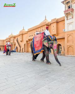 THÀNH PHỐ JAIPUR MỘT GIẤC MỘNG MÀU HỒNG KHÓ TIN GIỮA ĐỜI THỰC