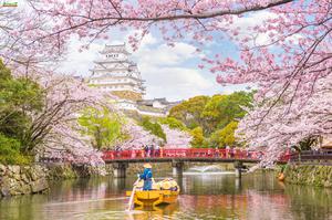 CHƯƠNG TRÌNH TOUR NHẬT BẢN CUNG ĐƯỜNG VÀNG MÙA HOA ANH ĐÀO OSAKA – KOBE – KYOTO – FUJI – TOKYO THÁNG 3