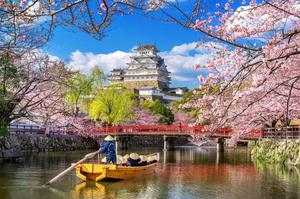 CHƯƠNG TRÌNH TOUR NHẬT BẢN CUNG ĐƯỜNG VÀNG MÙA HOA ANH ĐÀO OSAKA – KOBE – KYOTO – FUJI – TOKYO THÁNG 3