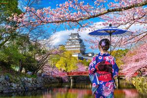 CHƯƠNG TRÌNH TOUR NHẬT BẢN CUNG ĐƯỜNG VÀNG MÙA HOA ANH ĐÀO TOKYO – HAKONE – YAMANASHI – FUJI – NAGOYA - OSAKA THÁNG 4
