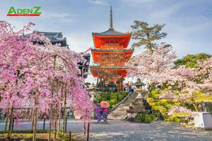 CHƯƠNG TRÌNH TOUR NHẬT BẢN  CUNG ĐƯỜNG VÀNG MÙA HOA ANH ĐÀO TOKYO – HAKONE – YAMANASHI – FUJI – NAGOYA - OSAKA THÁNG 4