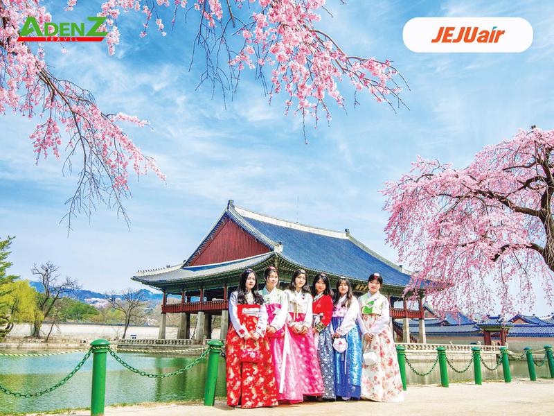 TOUR NGẮM HOA ANH ĐÀO 2024 SEOUL – ĐẢO NAMI – EVERLAND BAY JEJU AIR
