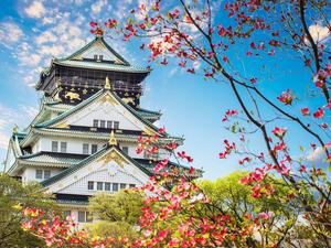 TOUR NHẬT BẢN LỄ 30/4 TOKYO – YAMANASHI – TOYOHASHI – KYOTO – OSAKA – KOBE