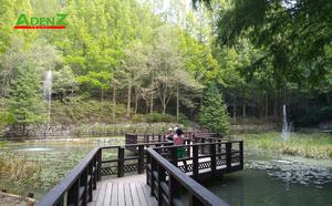TRẢI NGHIỆM HÀN QUỐC HOÀN TOÀN MỚI SEOUL – HOA THÀNH – JEONJU – DAEJEON – DMZ