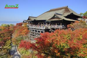 NHẬT BẢN CUNG ĐƯỜNG VÀNG MÙA THU TOKYO - HAKONE - YAMANASHI - FUJINAGOYA - OSAKA