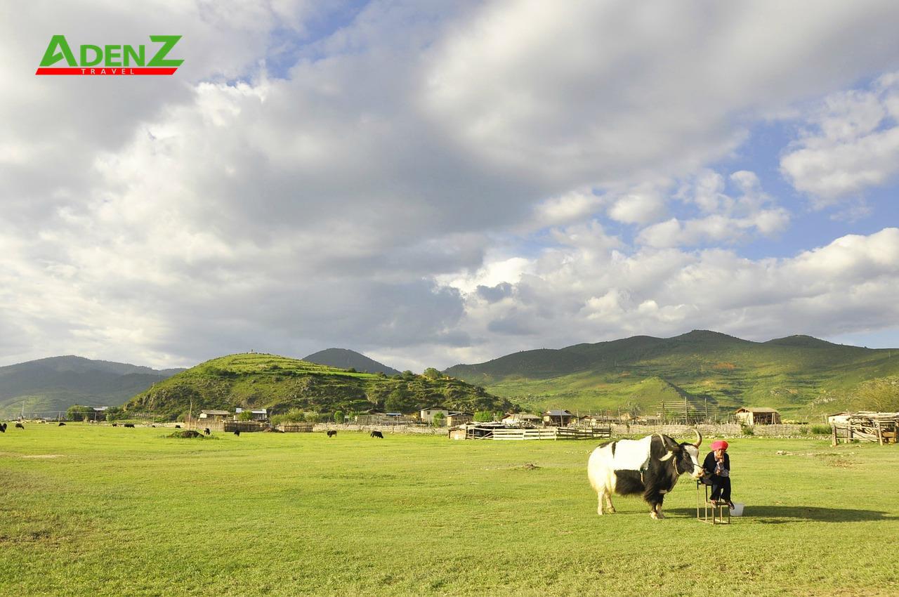 TOUR DU LỊCH TRUNG QUỐC LỆ GIANG - ĐẠI LÝ - SHANGRILA - NÚI TUYẾT NGỌC LONG