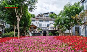 TOUR DU LỊCH TRUNG QUỐC  CÔN MINH - LỆ GIANG - ĐẠI LÝ - SHANGRILA - NÚI TUYẾT NGỌC LONG MÙA HOA ANH ĐÀO