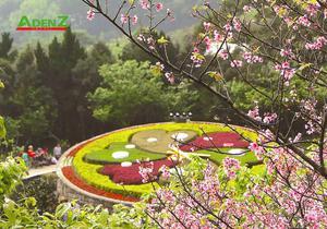 TOUR DU LỊCH ĐÀI LOAN TUYẾN ĐÀI TRUNG - ĐÀI BẮC (MỒNG 2 TẾT)