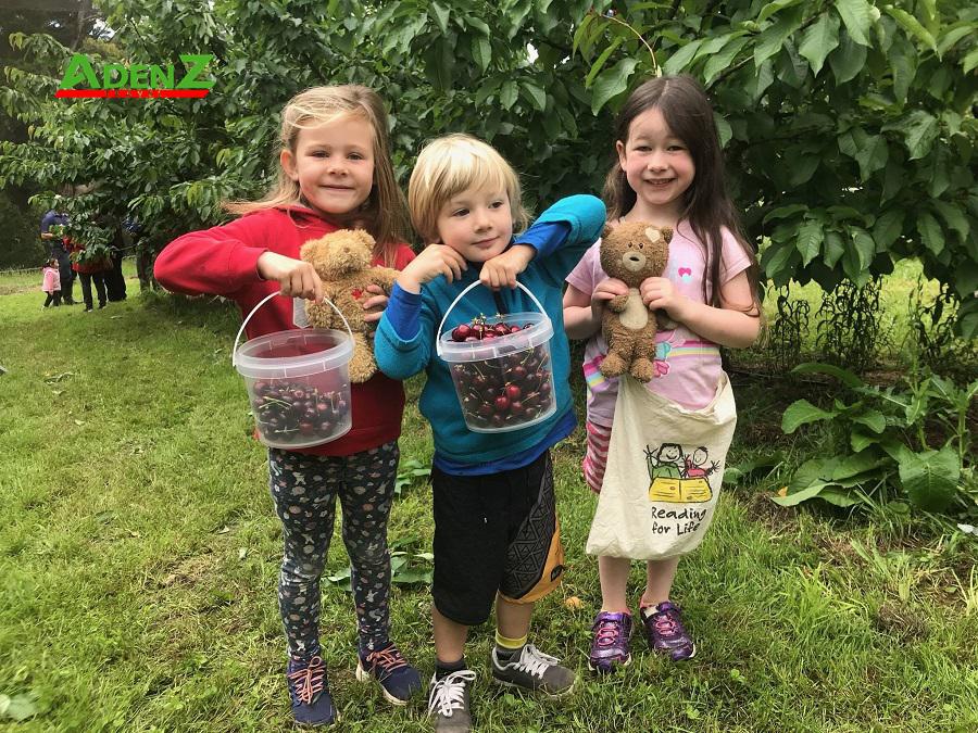 TOUR DU LỊCH ÚC TUYẾN SYDNEY - MELBOURNE  07 NGÀY 06 ĐÊM