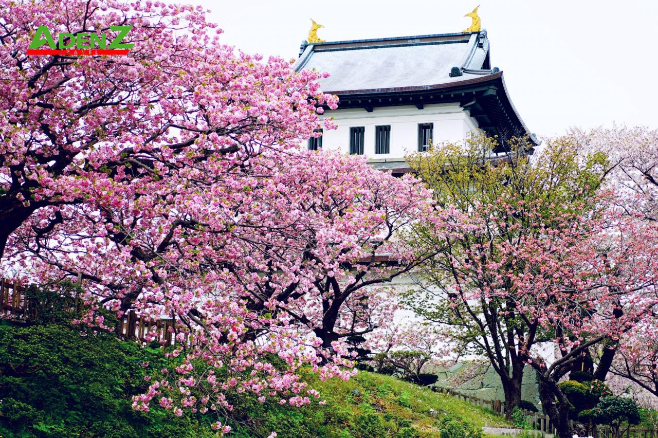 Công viên Matsumae với lịch sử hơn 300 năm