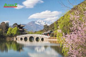 TOUR DU LỊCH TRUNG QUỐC CÔN MINH - LỆ GIANG - ĐẠI LÝ - SHANGRILA - NÚI TUYẾT NGỌC LONG MÙA HOA ANH ĐÀO