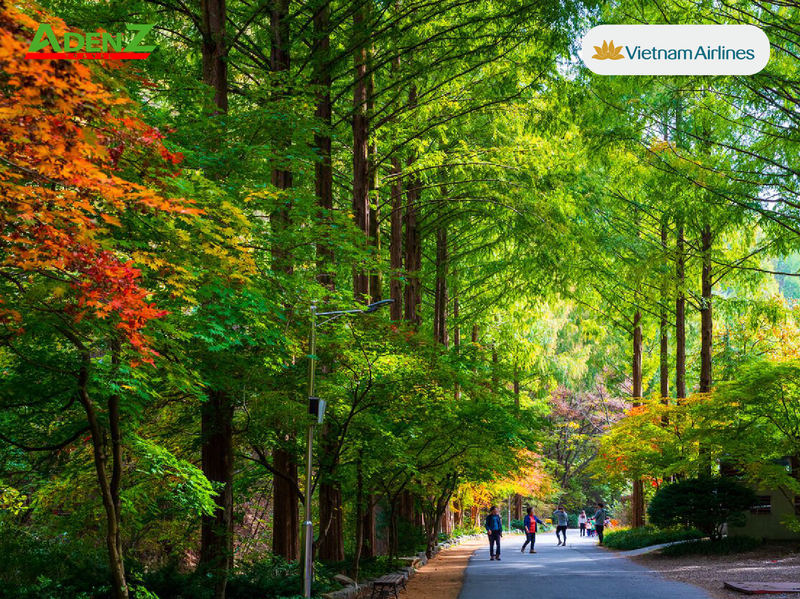 MỚI PREMIUM TOUR  HÀN QUỐC MÙA HÈ TUYẾN SEOUL - HOA THÀNH - JEONJU - DAEJEON - DMZ