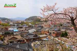 Quang cảnh của làng cổ Jeonju Hanok