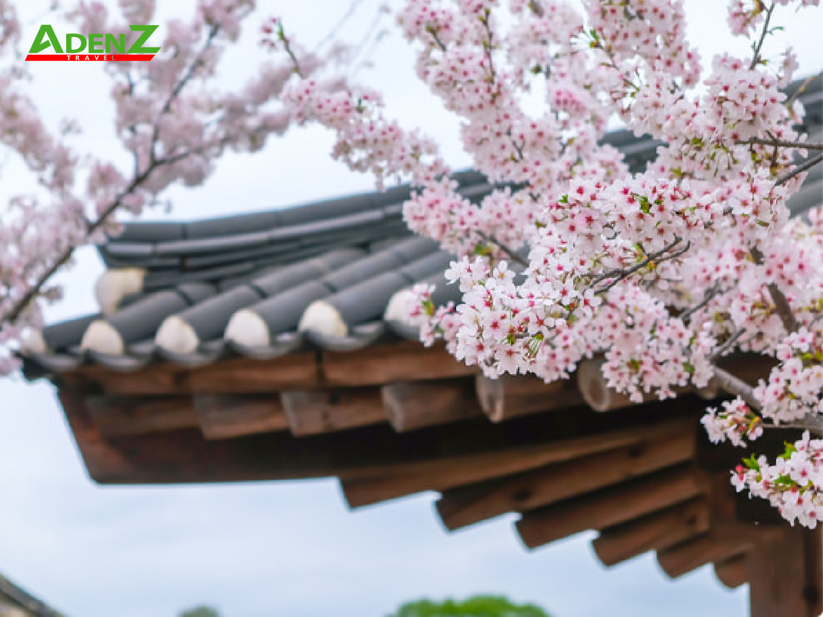 VIÊN NGỌC ẨN MÌNH TRÊN BẢN ĐỒ DU LỊCH HÀN QUỐC MANG TÊN JEONJU