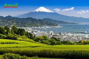 TOUR THAM DỰ HỘI CHỢ FOOMA JAPAN 2025