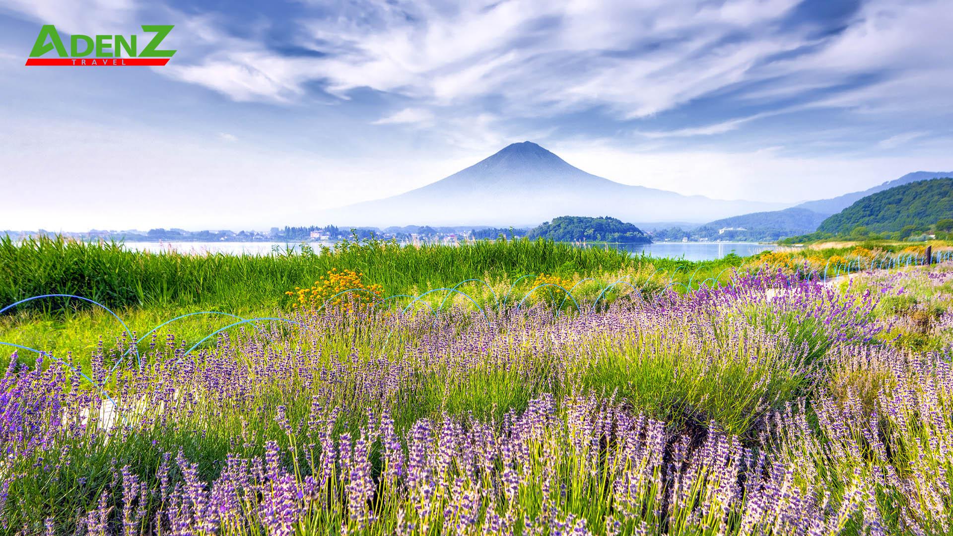 TOUR DU LỊCH NHẬT BẢN MÙA HÈ TUYẾN TOKYO - FUJI - NAGOYA - KYOTO - OSAKA 