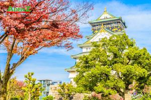 TOUR DU LỊCH NHẬT BẢN MÙA HÈ TUYẾN TOKYO - FUJI - NAGOYA - KYOTO - OSAKA