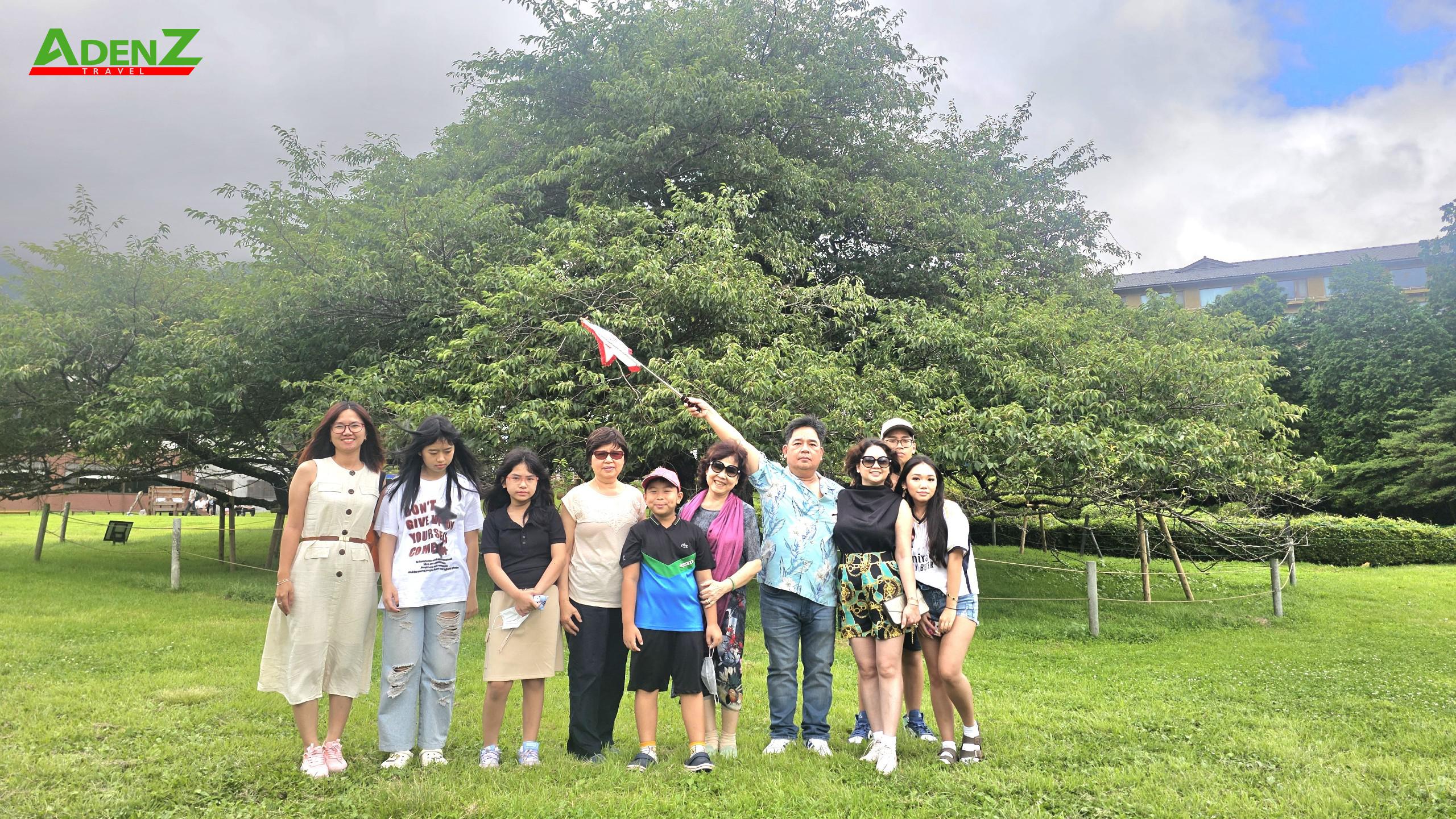 TOUR DU LỊCH NHẬT BẢN MÙA HÈ TUYẾN TOKYO - FUJI - NAGOYA - KYOTO - OSAKA 