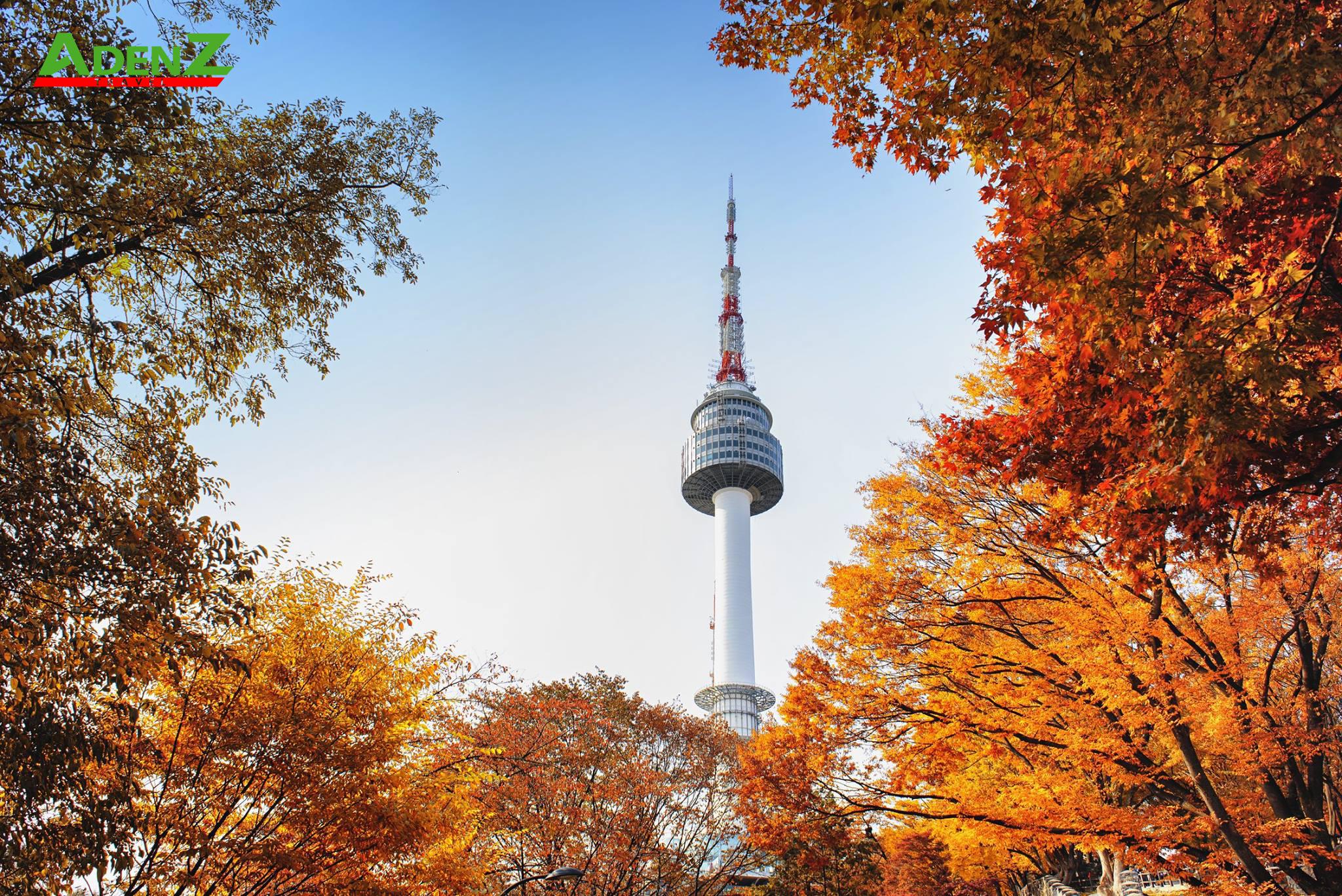 TOUR DU LỊCH HÀN QUỐC MÙA THU TUYẾN SEOUL – ĐẢO NAMI – EVERLAND