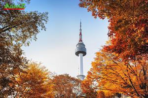 TOUR DU LỊCH HÀN QUỐC MÙA THU TUYẾN SEOUL – ĐẢO NAMI – EVERLAND