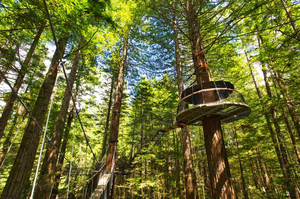 TOUR DU LỊCH NEW ZEALAND TUYẾN AUCKLAND - WAITOMO - TAUPO - ROTORUA - HOBITTON