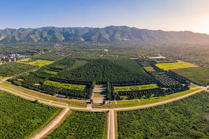 TOUR DU LỊCH TRUNG QUỐC TUYẾN TRỊNH CHÂU - KHAI PHONG - ĐĂNG PHONG - LẠC DƯƠNG - TÂY AN