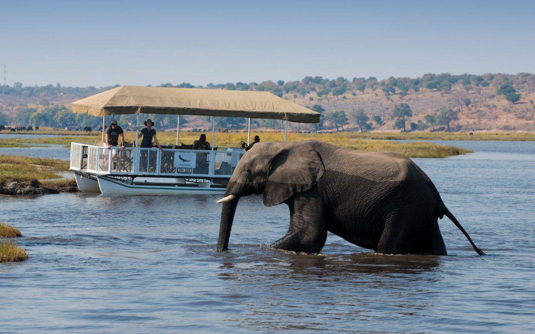 TOUR DU LỊCH ULTIMATE ZIMBABWE & BOTSWANA - VICTORIA FALLS - CÔNG VIÊN QUỐC GIA ZAMBEZI, CHOBE, MAKGADIKGADI PANS - KHU BẢO TỒN ELEPHANT SANDS - ĐỒNG BẰNG OKAVANGO