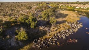 TOUR DU LỊCH ULTIMATE ZIMBABWE & BOTSWANA - VICTORIA FALLS - CÔNG VIÊN QUỐC GIA ZAMBEZI, CHOBE, MAKGADIKGADI PANS - KHU BẢO TỒN ELEPHANT SANDS - ĐỒNG BẰNG OKAVANGO