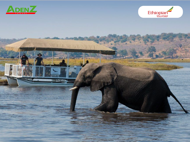 TOUR DU LỊCH ULTIMATE ZIMBABWE & BOTSWANA - VICTORIA FALLS - CÔNG VIÊN QUỐC GIA ZAMBEZI, CHOBE, MAKGADIKGADI PANS - KHU BẢO TỒN ELEPHANT SANDS - ĐỒNG BẰNG OKAVANGO