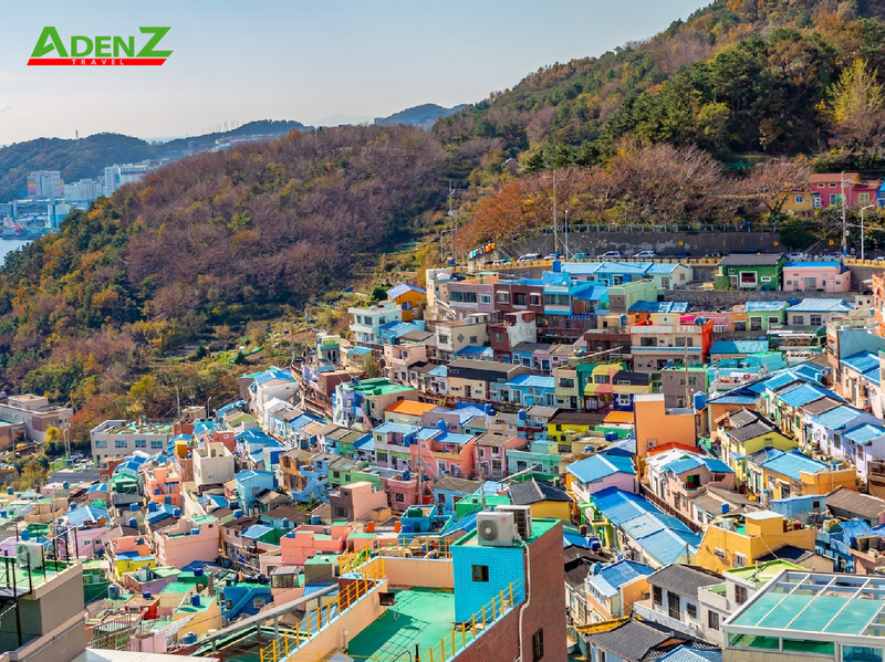 Nhớ mãi kí ức tuyệt đẹp ở Busan năm ấy