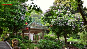 TOUR THAM DỰ HỘI CHỢ CANTON FAIR 138 - HỘI CHỢ QUẢNG CHÂU 2025