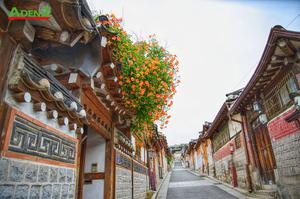 TOUR DU LỊCH HÀN QUỐC MÙA THU TUYẾN SEOUL – ĐẢO NAMI – EVERLAND