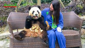 TOUR DU LỊCH TRUNG QUỐC TUYẾN THÀNH ĐÔ - CỬU TRẠI CÂU - TẤT BĂNG CÂU