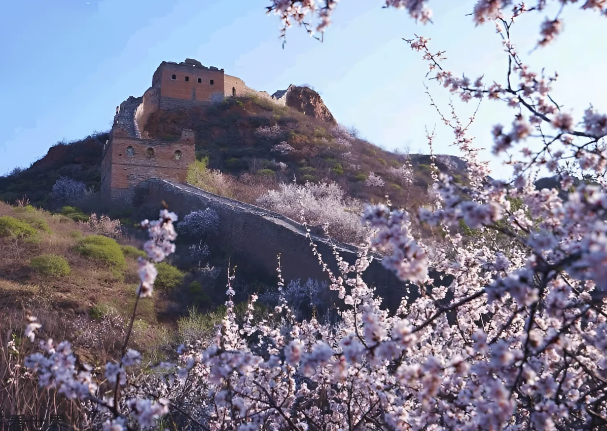 TOUR DU LỊCH TRUNG QUỐC  TUYÉN BẮC KINH - TÔ CHÂU - HÀNG CHÂU - THƯỢNG HẢI
