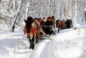 TOUR DU LỊCH TRUNG QUỐC TUYẾN CÁP NHĨ TÂN - Á BỐ LỰC - TUYẾT HƯƠNG