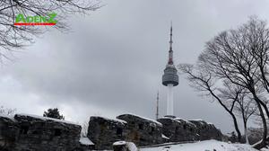 TOUR DU LỊCH HÀN QUỐC TUYẾN SEOUL - NAMI - LOTTE WORLD