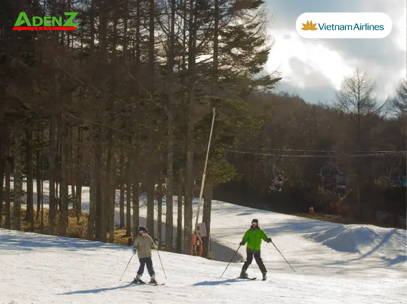 TOUR DU LỊCH NHẬT BẢN TRƯỢT TUYẾT TUYẾN OSAKA - KYOTO - TOYOHASHI - YAMANASHI - TOKYO