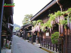 TOUR DU LỊCH NHẬT BẢN MÙA HOA ANH ĐÀO TUYẾN TOKYO - YAMANASHI - SHIZUOKA - SHIRAKAWAGO - NAGOYA
